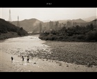 dailyPhoto9